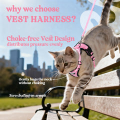 Back view of the rabbitgoo cat harness showing its reinforced D-ring.