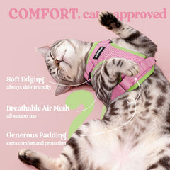 rabbitgoo Cat Harness close-up of the reinforced back D-ring.