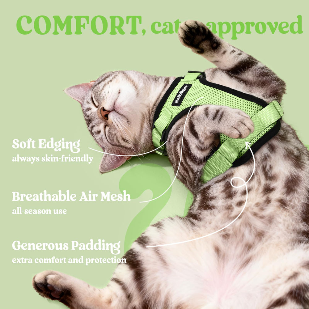 rabbitgoo Cat Harness back view showing the reinforced leash D-ring.