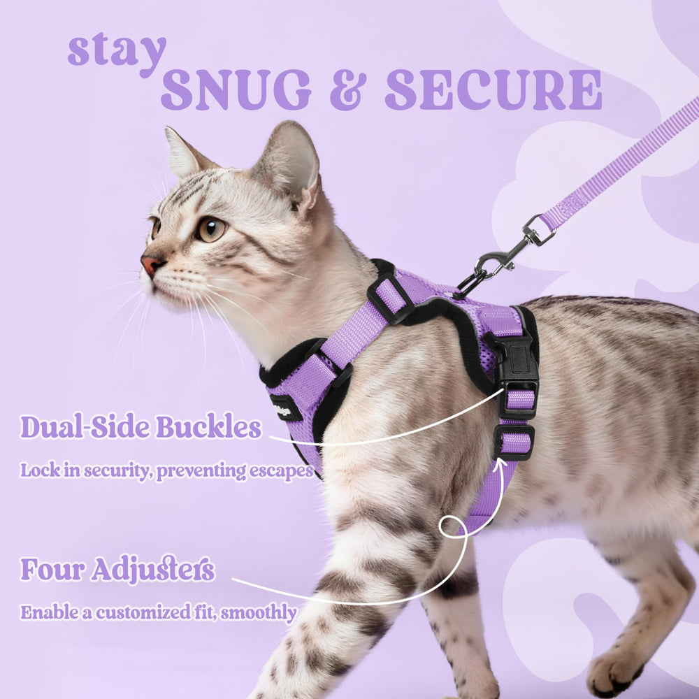 rabbitgoo Cat Harness and Leash Set with a close view of the reinforced back D-ring.