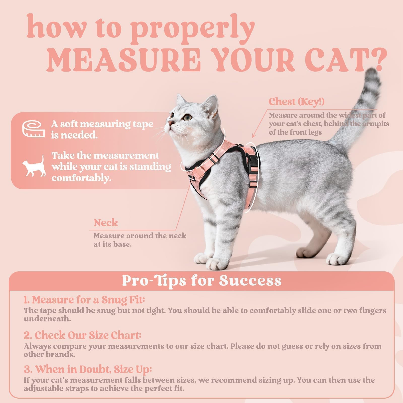 rabbitgoo Cat Harness showing the reinforced back D-ring for leash attachment.