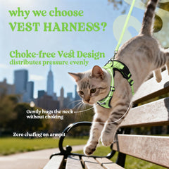 rabbitgoo Cat Harness shown fitted on a cat for an outing.