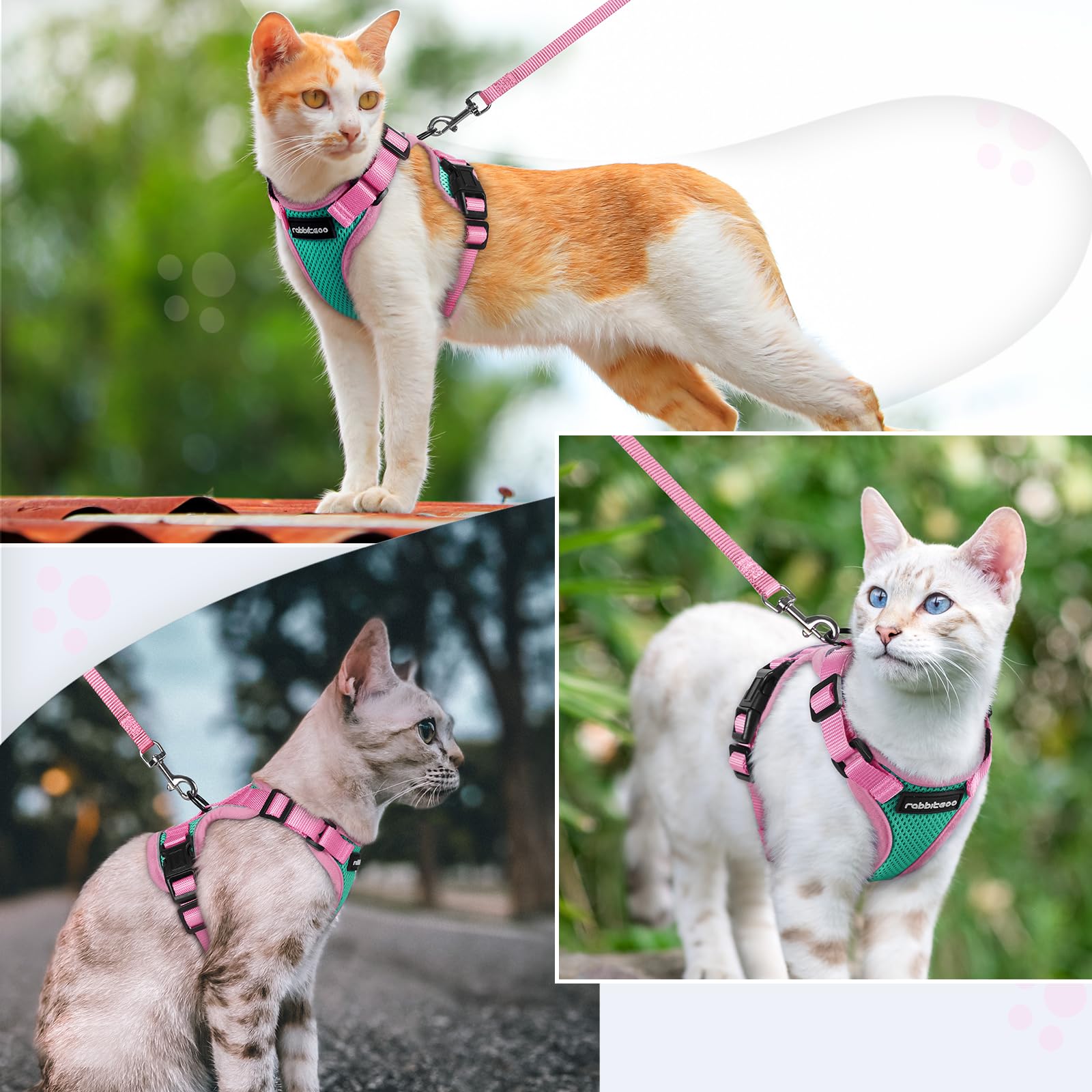 rabbitgoo Cat Harness and Leash Set shown in green and pink.