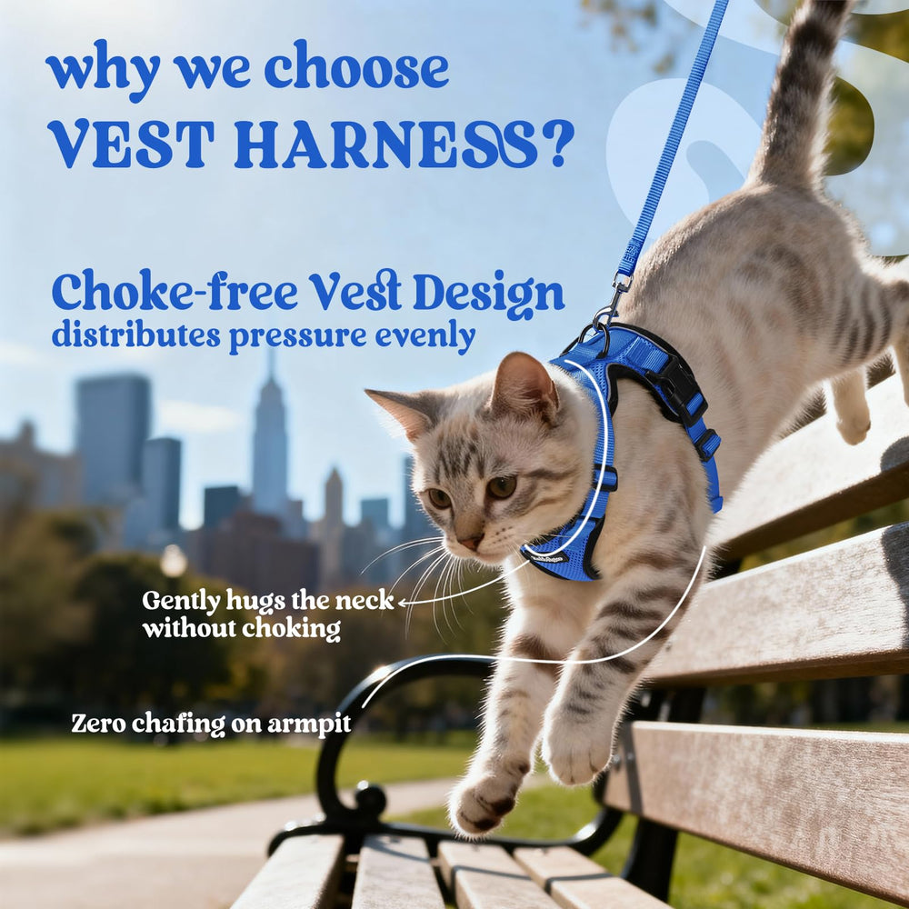 rabbitgoo Cat Harness dual quick-release buckles shown up close.