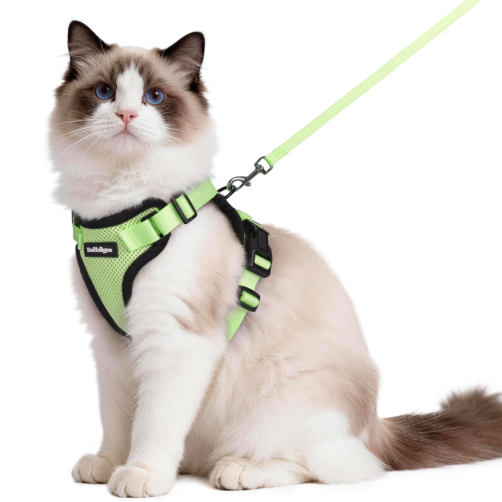 rabbitgoo Cat Harness and Leash Set shown from the front in light green.