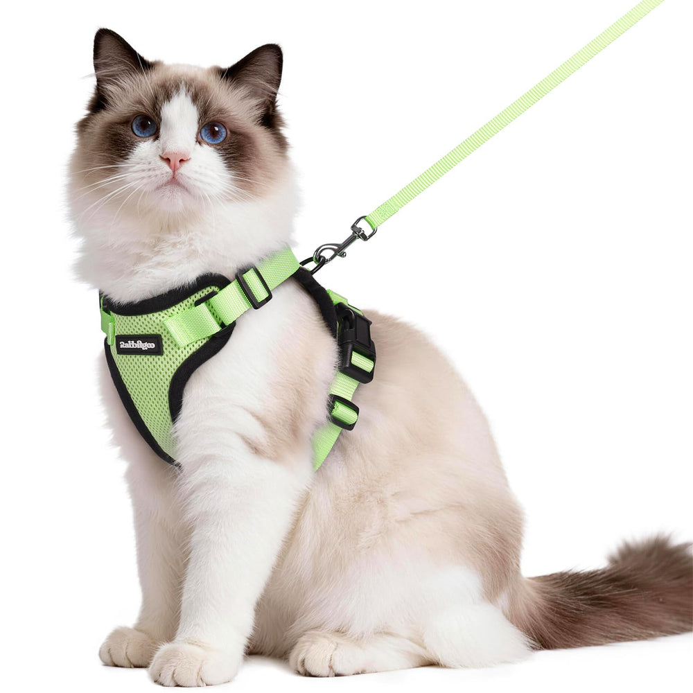 rabbitgoo Cat Harness and Leash Set shown from the front in light green.