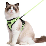 rabbitgoo Cat Harness and Leash Set shown from the front in light green.