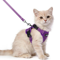 rabbitgoo Cat Harness and Leash shown from the front in purple.