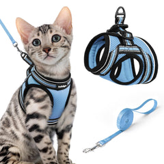 rabbitgoo Cat Harness and Leash Set shown from the front in light blue.