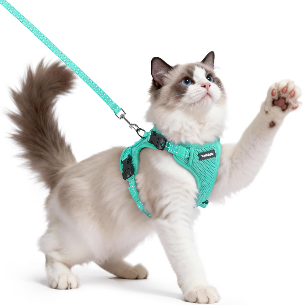 rabbitgoo Cat Harness and Leash shown from the front in green.