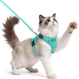 rabbitgoo Cat Harness and Leash shown from the front in green.