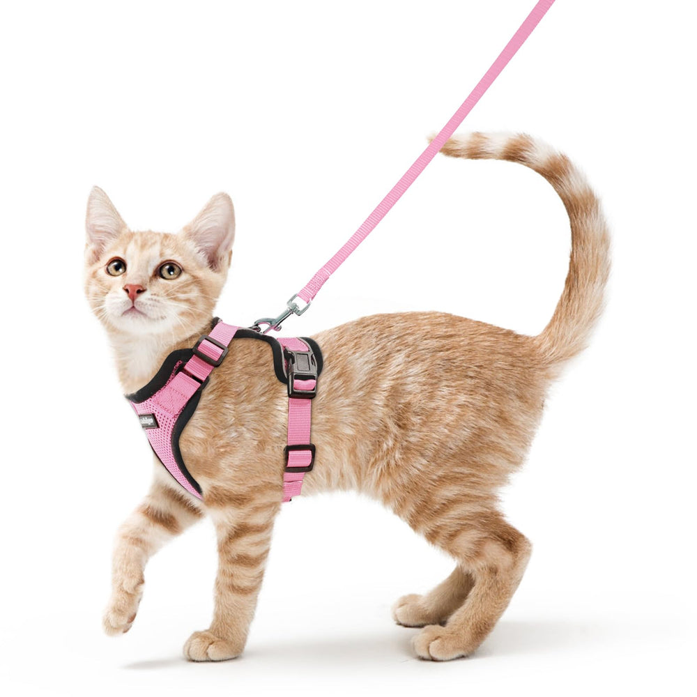 Front view of the pink rabbitgoo cat harness and leash set.