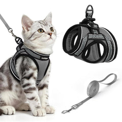 rabbitgoo Cat Harness and Leash Set shown from the front.