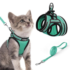 rabbitgoo Cat Harness and Leash Set shown from the front in green.