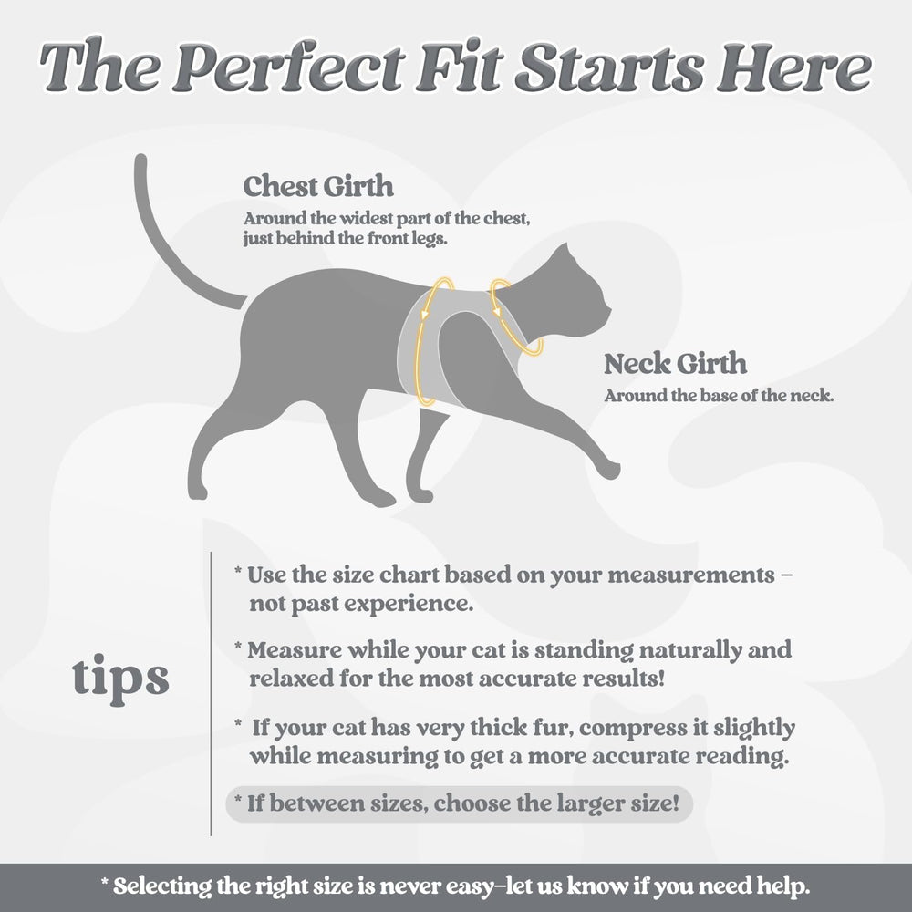 rabbitgoo Cat Harness and Leash Set shown as a grey vest.