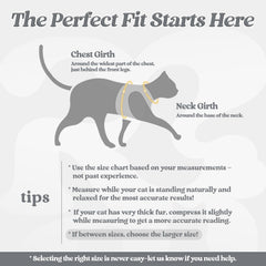 rabbitgoo Cat Harness and Leash Set shown as a grey vest.