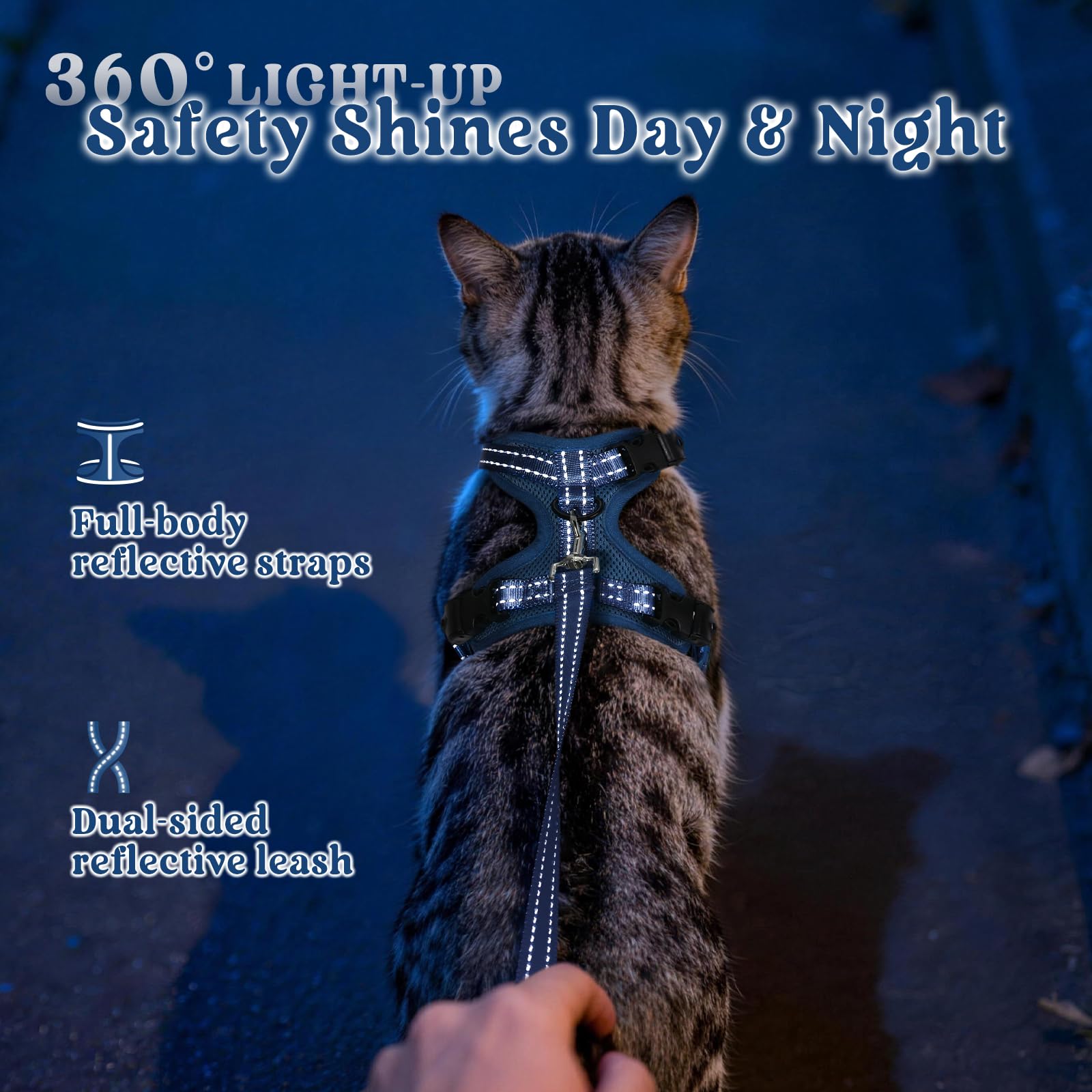 rabbitgoo Cat Harness connected to its included leash at the back D-ring.