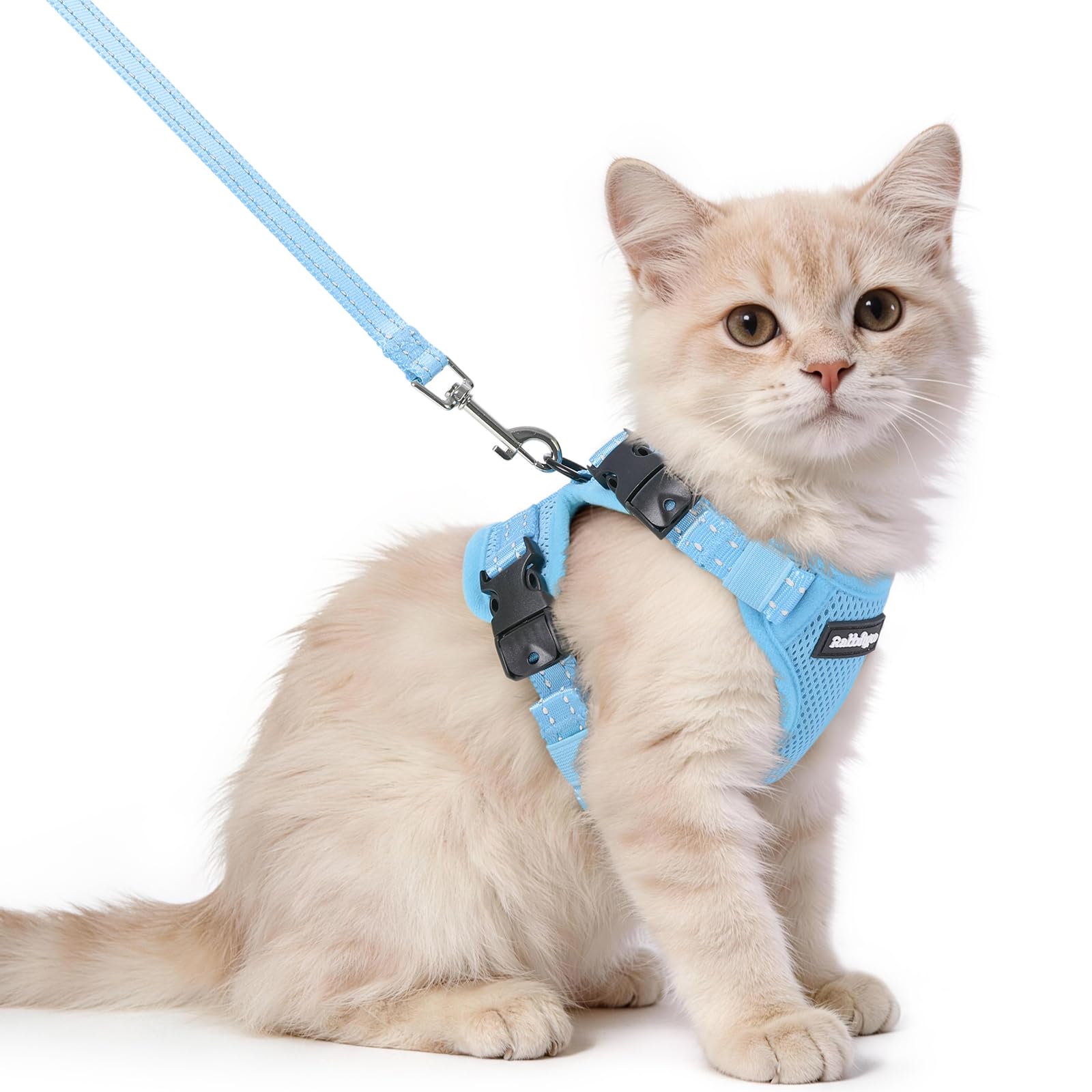 rabbitgoo Cat Harness and Leash shown from the front in sky blue.