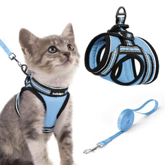 rabbitgoo Cat Harness and Leash Set shown from the front in light blue.