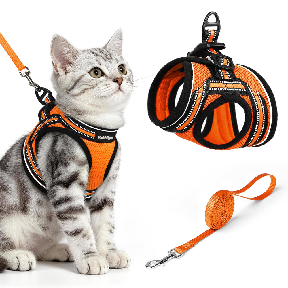 rabbitgoo cat harness and leash set shown from the front in orange.