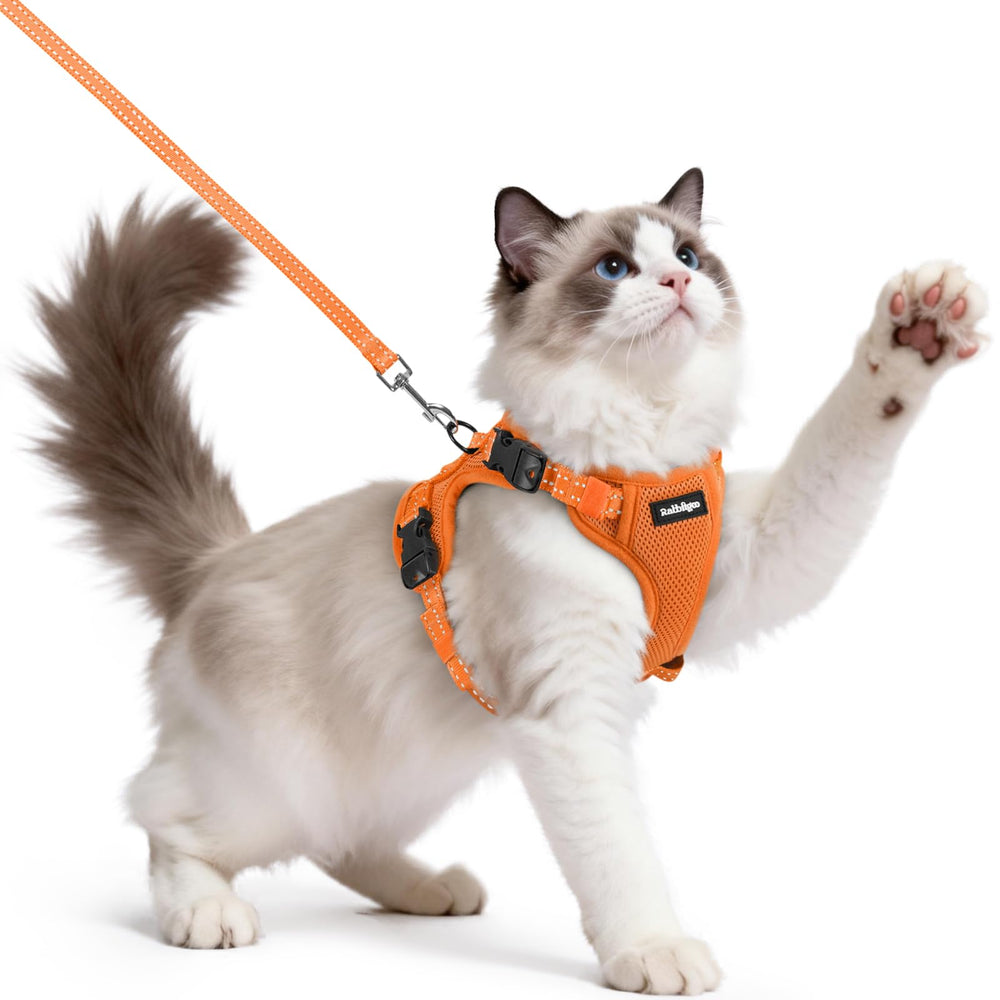 rabbitgoo Cat Harness and Leash shown from the front as an orange vest-style walking set.