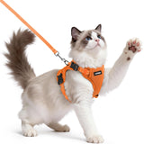 rabbitgoo Cat Harness and Leash shown from the front as an orange vest-style walking set.