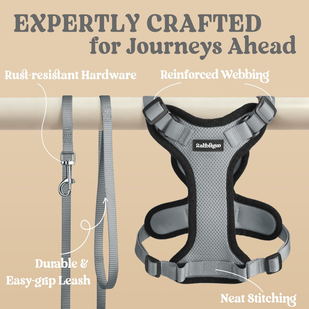 rabbitgoo cat harness set showing the included leash.