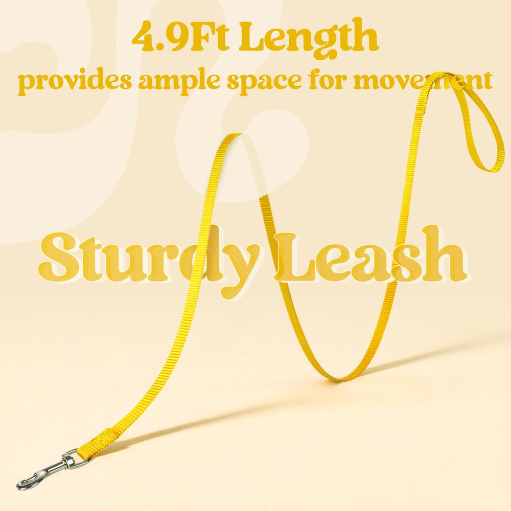 The leash included with the bright yellow rabbitgoo cat harness.