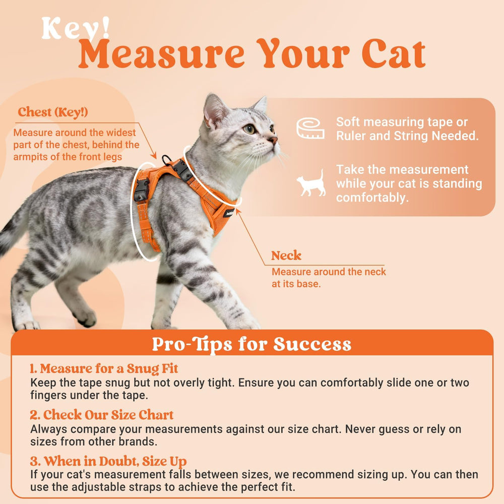 rabbitgoo Cat Harness and Leash shown with the orange vest as the main focus.