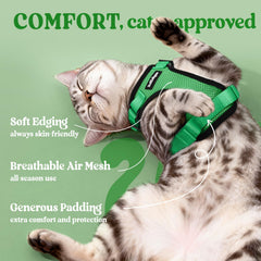 rabbitgoo Cat Harness and Leash Set showing its adjustable straps.