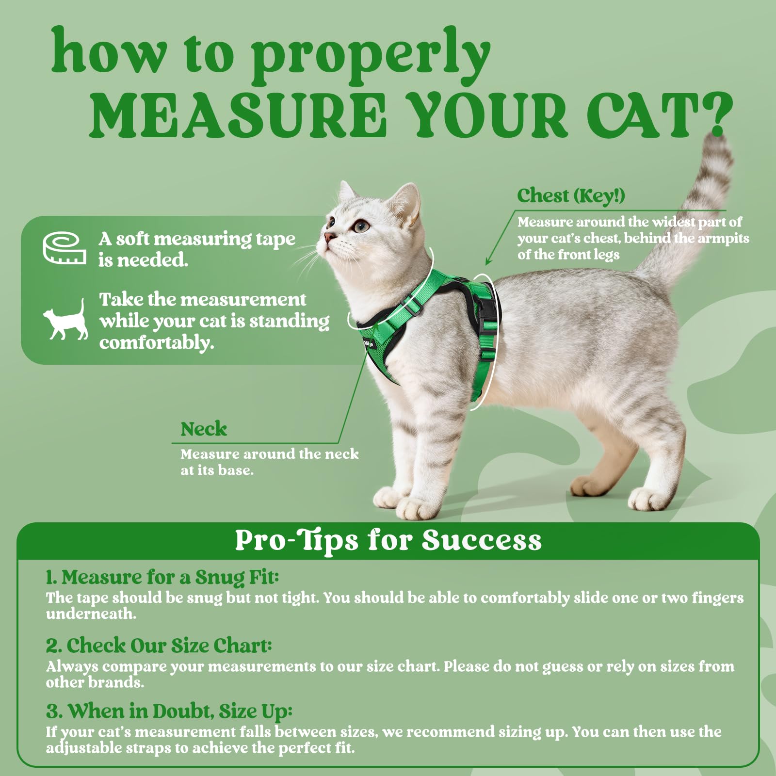 rabbitgoo Cat Harness and Leash Set showing the reinforced back leash ring.