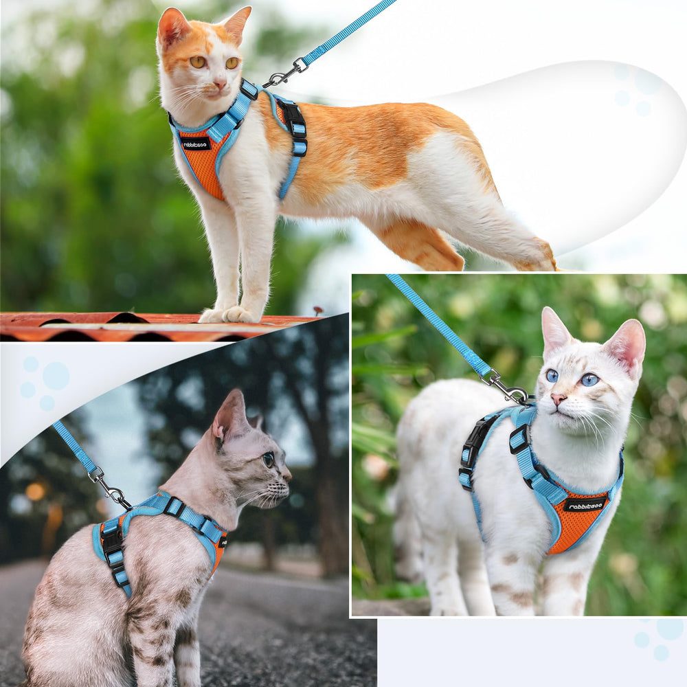 rabbitgoo Cat Harness and Leash Set shown fitted on a cat.