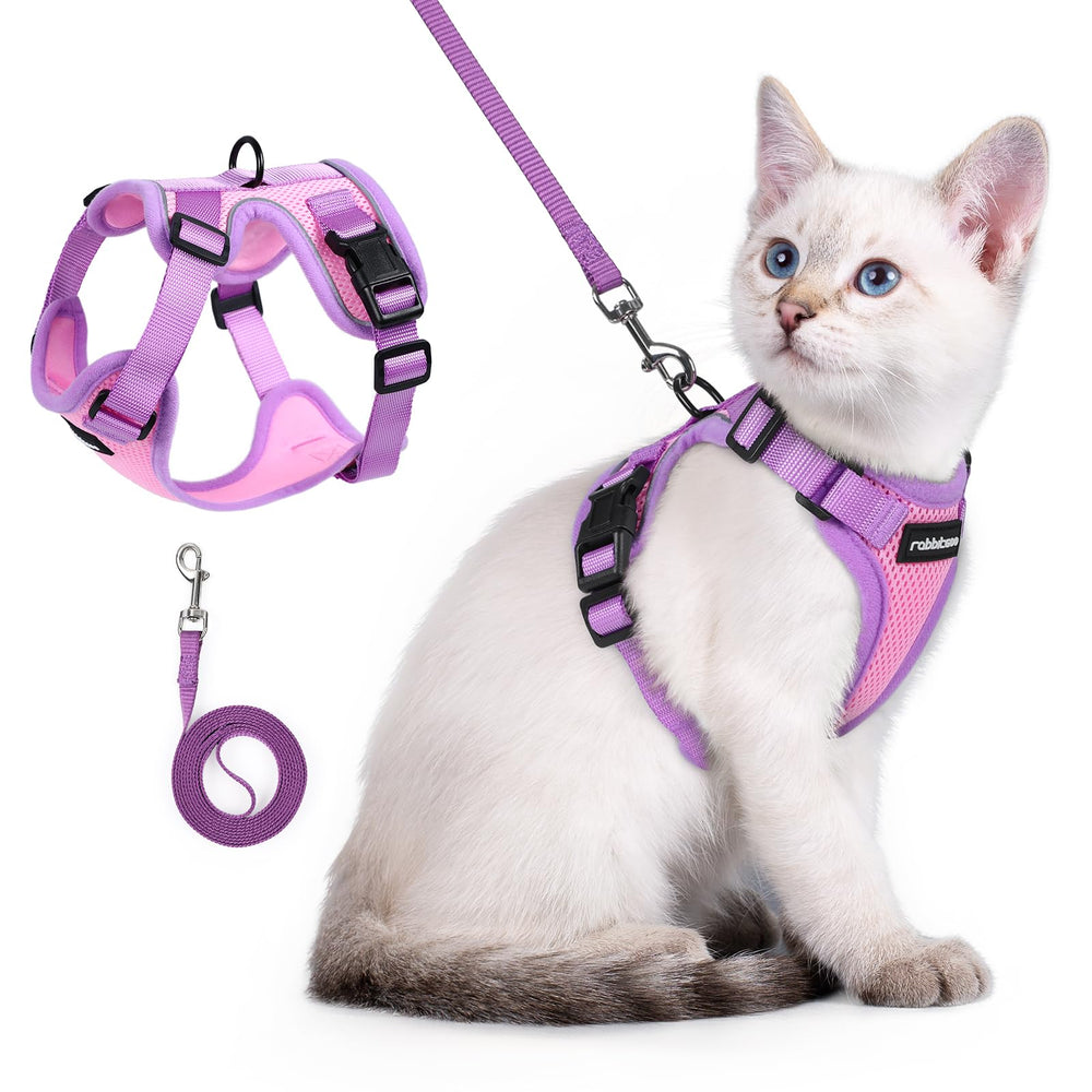 rabbitgoo Cat Harness and Leash Set shown from the front in pink and purple.