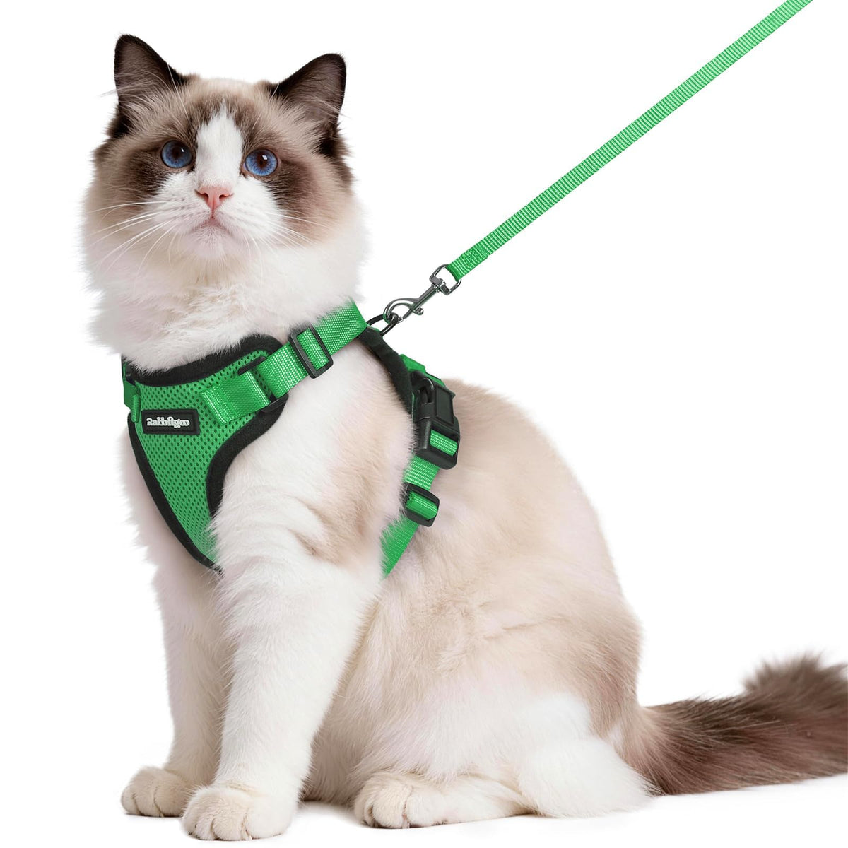 rabbitgoo Cat Harness and Leash Set shown from the front in grass green.