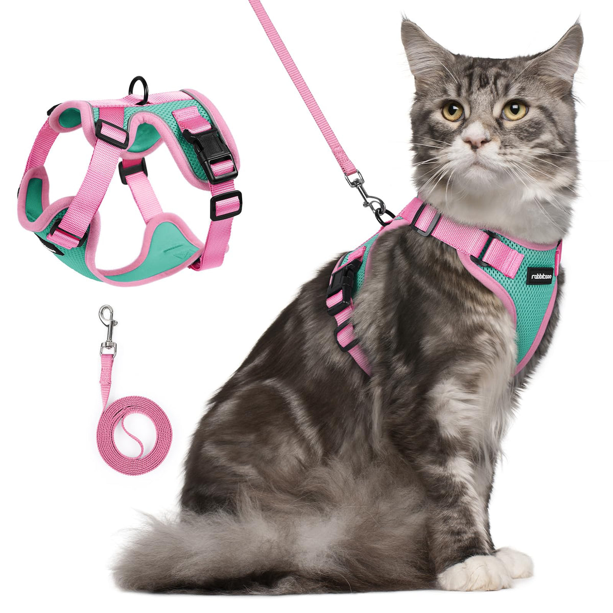 rabbitgoo Cat Harness and Leash Set shown from the front.