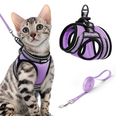 rabbitgoo Cat Harness and Leash Set shown together in light purple.