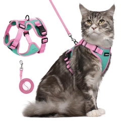 rabbitgoo Cat Harness and Leash Set shown from the front.