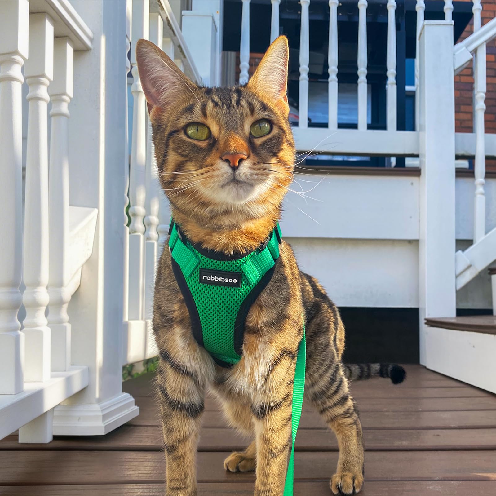 rabbitgoo Cat Harness and Leash Set displayed in grass green.