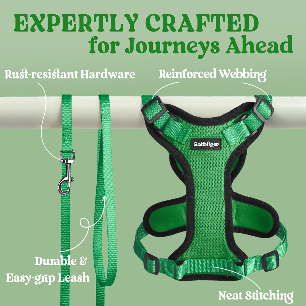 rabbitgoo Cat Harness and Leash Set worn by a cat.