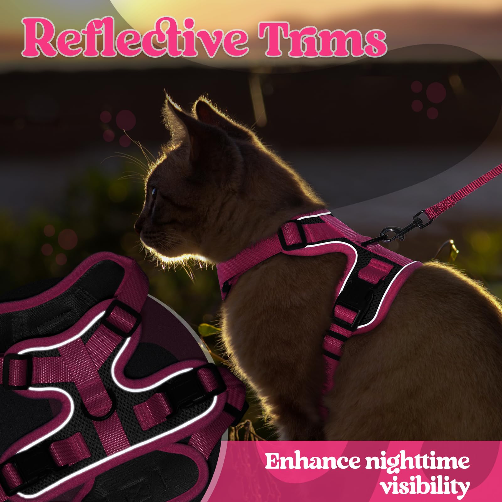 rabbitgoo Cat Harness and Leash Set showing the leash’s 360-degree swivel clip.