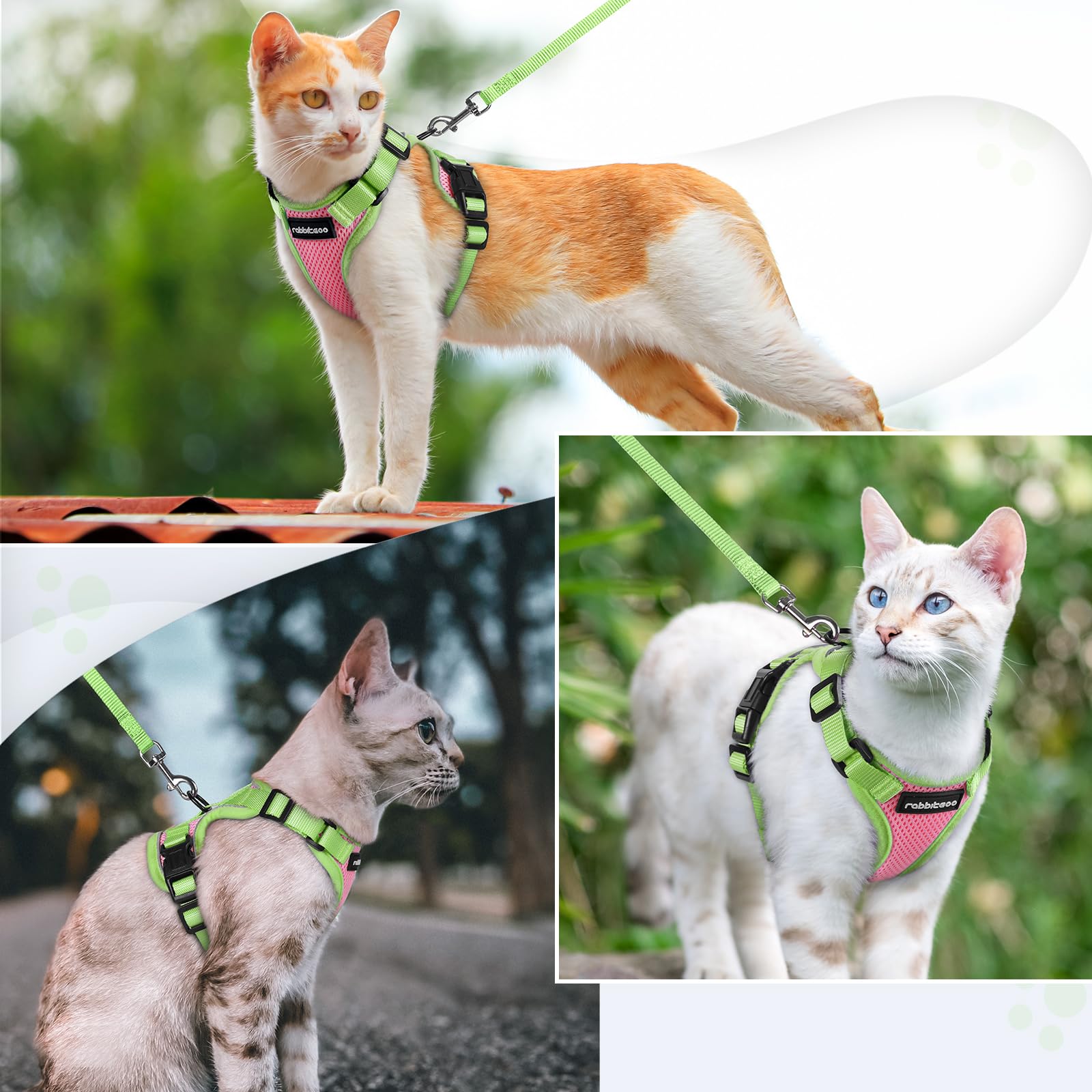 rabbitgoo cat harness and leash set shown fitted on a cat.