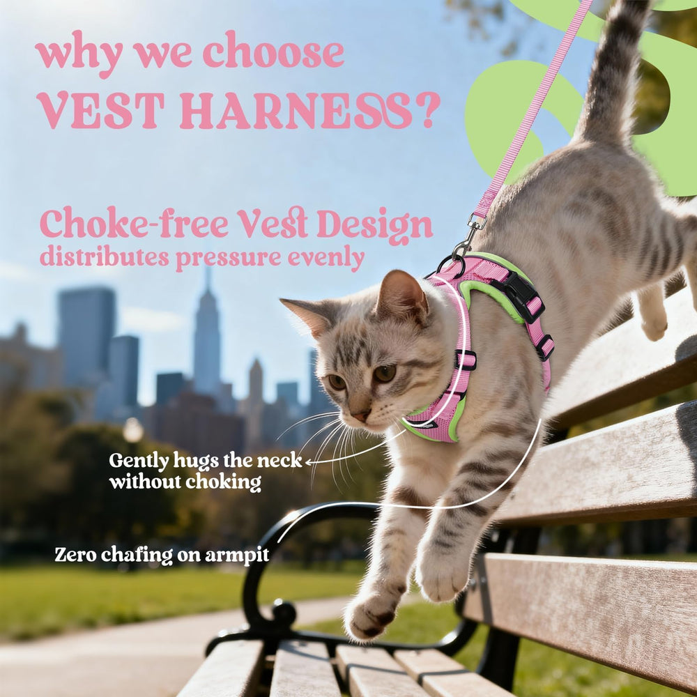 rabbitgoo Cat Harness Set with the included leash.