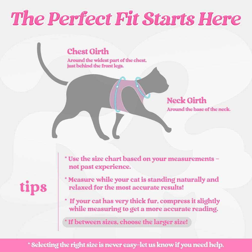 rabbitgoo cat harness and leash set shown together.