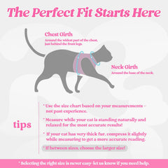 rabbitgoo cat harness and leash set shown together.