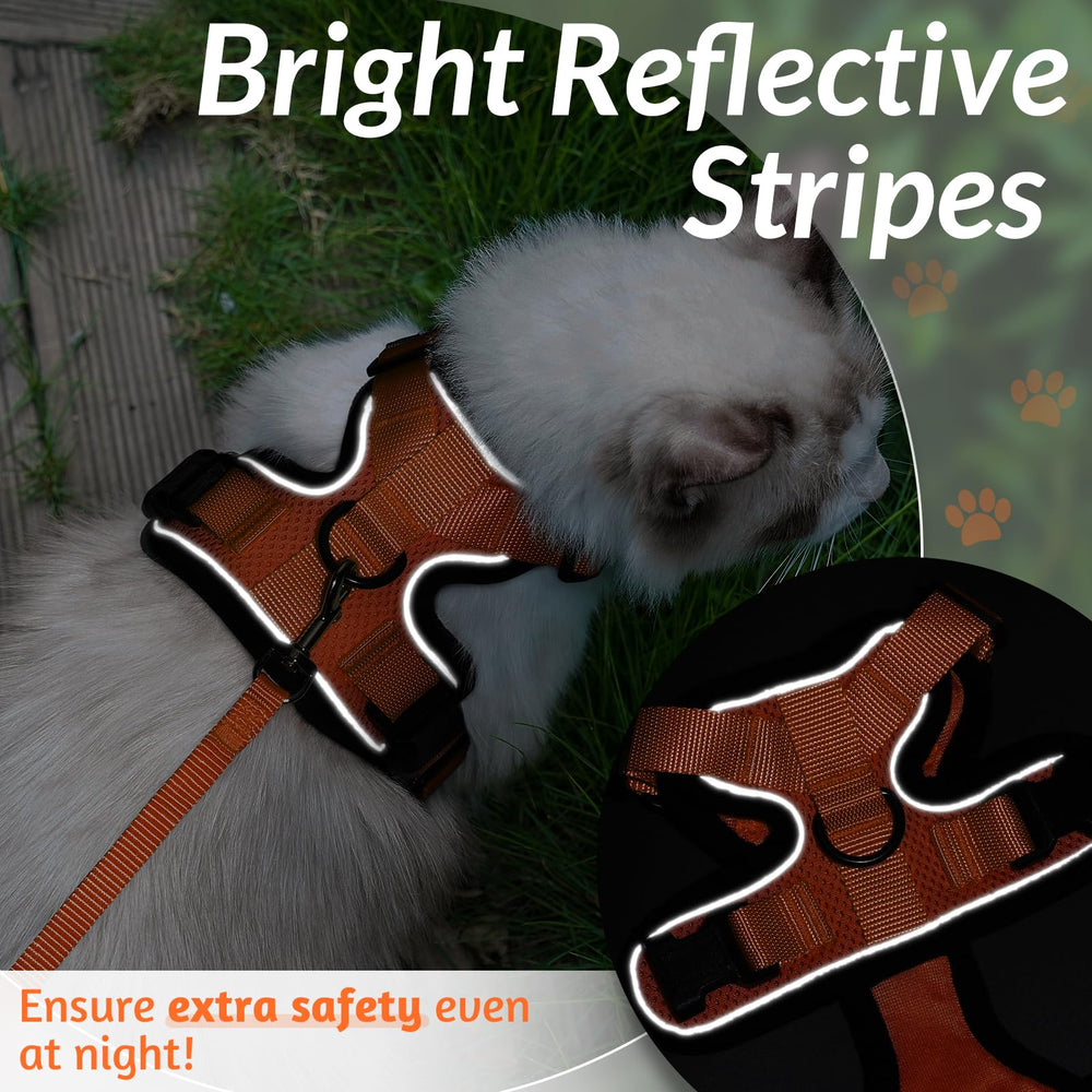rabbitgoo Cat Harness and Leash Set showing the harness and included leash.