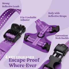 rabbitgoo Cat Harness and Leash showing the breathable mesh fabric.