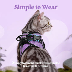 rabbitgoo Cat Harness and Leash Set with close-up air-mesh padding.