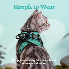 Detail of the metal D-ring and quick-release buckle on the rabbitgoo cat harness.