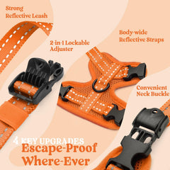 rabbitgoo Cat Harness and Leash close-up showing the harness neck buckle.