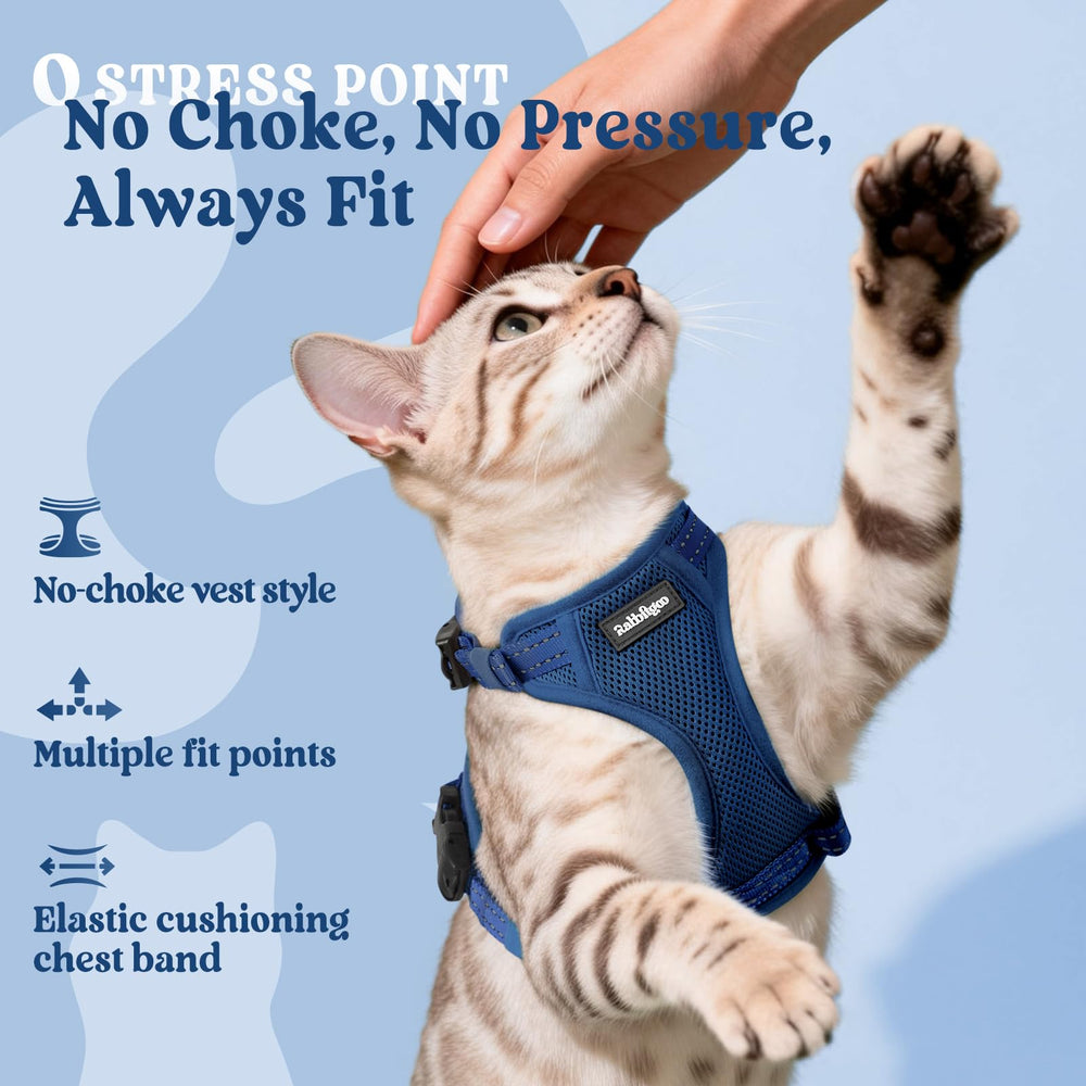 rabbitgoo Cat Harness shown fitted on a cat for an outdoor walk.